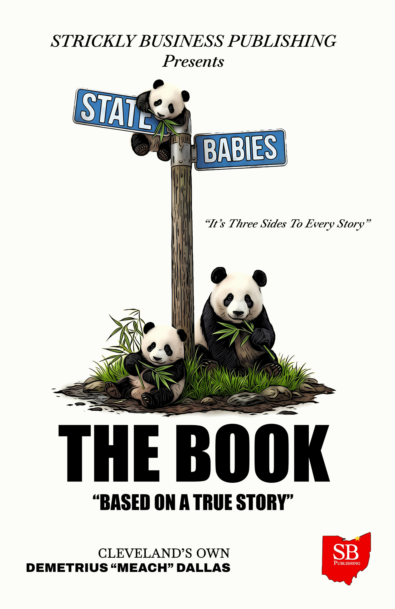 State Babies “The Book” – Chapter 1 by Demetrius “Meach” Dallas